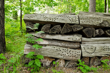 Man-made Natural Insect Houses in Jurmala Latvia