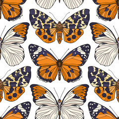Obraz na płótnie Canvas Butterflies. Colorful seamless pattern, background. Stock line vector illustration 