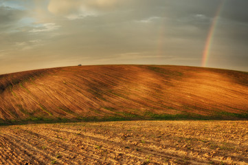 Car in the field