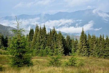 Mountains between white clouds, summer trips