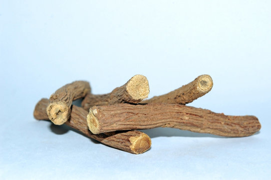 Ra&iacute;z de rama tronco de regaliz comestible