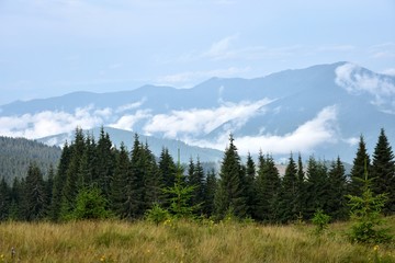 Mountains between white clouds, summer trips