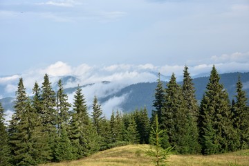 Mountains between white clouds, summer trips