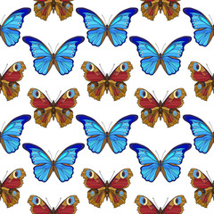 Plakat Butterflies. Colorful seamless pattern, background. Stock line vector illustration 