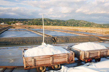 Harvesting sea salt at Secovlje salt plants, Slovenia.