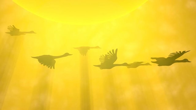 Frozen in flight. Geese , birds flying in sun beams, rays, light, volumetric shadows. 3d render, animation. Slow motion camera pan.