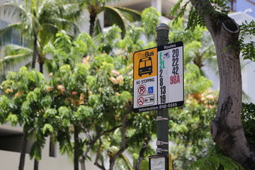 ハワイのバス停