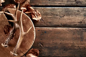 Poster Deer antlers with leaves on wooden board © exclusive-design