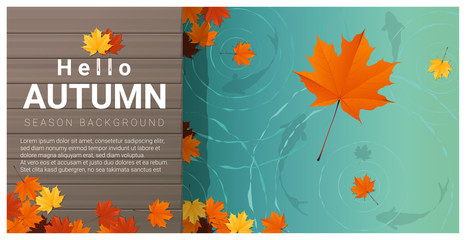 Hello autumn background with colorful leaves on wooden pier , vector , illustration