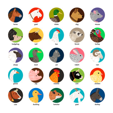 Large set of different avatars with farm animals