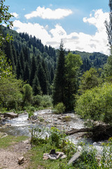 River in coniferous mountains