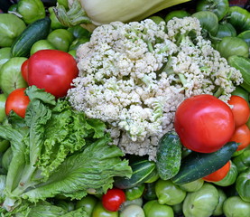 zucchini tomato cucumber Lactuca Brussels sprouts cabbage