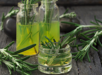 fresh rosemary plant