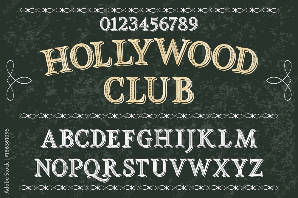 Poster font.typeface. script.handcrafted vector