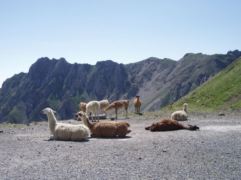 Tourmalet Pic du midi