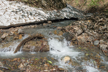 Obraz premium Spring landscape. Stream water in the mountains.