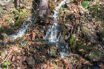 The stream flowing down from the mountains.