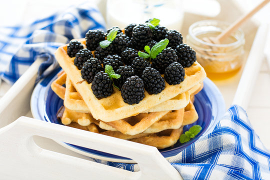 Healthy breakfast: Belgian waffles with blackberries, honey and milk decorated mint leaves and blue napkin on white wooden salver. Warm light. Selective focus