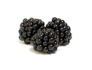 Closeup shot of fresh blackberries