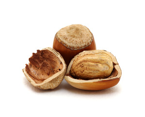 Closeup of hazelnuts