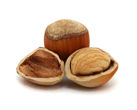 Closeup of hazelnuts