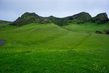 Fototapeta na wymiar Iceland - Green meadow and mountainous landscape