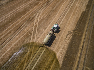 Obraz premium aerial view of a tractor with a trailer fertilizes a freshly plowed agriculural field with manure in germany
