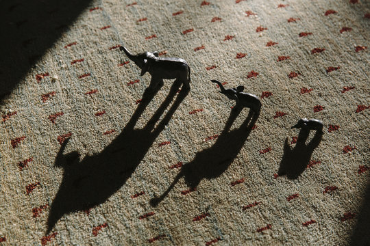 Elephant Family Figurines in the Morning Sun