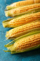 Fresh raw corn cobs