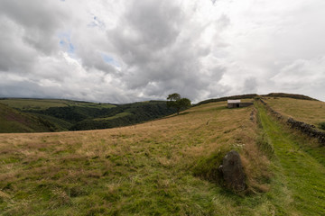 Fototapeta premium Over the Hill