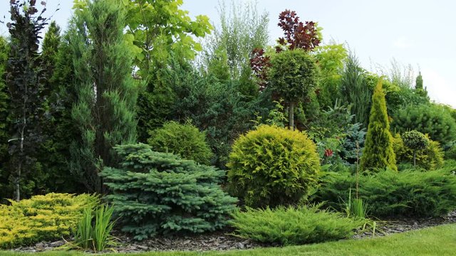 Decorating garden design by beatiful trees and bushes near the house.
