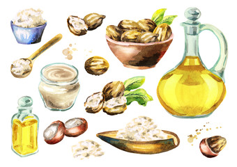 Shea butter, oil and nuts big set. Watercolor hand-drawn illustration