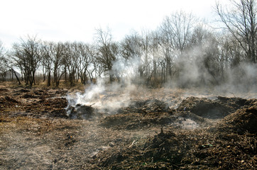 Dump. Environmental pollution.
