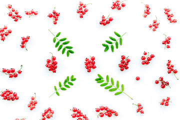 Berry ornament. Red currant and leaves on white background top view