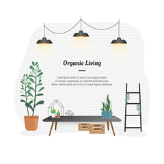 Minimal Organic Living and green plants 