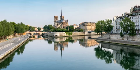 Fototapete Rund Notred Dame und Ile de la Cite in Paris, Frankreich © eyetronic