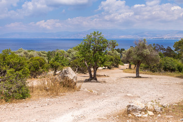 Path in the mountains on the peninsula of Akamos, Cyprus