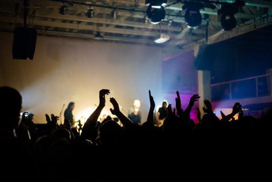 Concert crowd