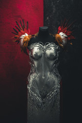 Silver armor for women. Carries pieces of gold and fabrics and feathers in red color