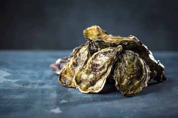 Frische austern