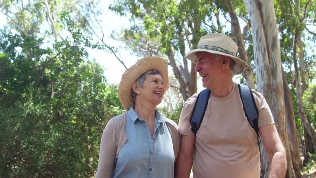 Mature Couple Walking Along Forest Path Together