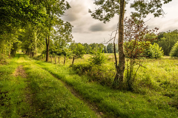 Soir à la campagne