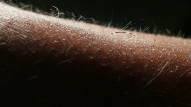 Close up of Human Skin Texture 
