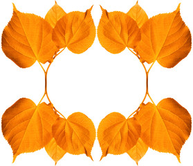 Frame of autumn sunlight leaves