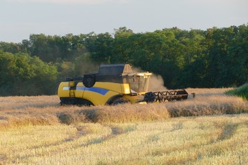 Obraz premium Harvester