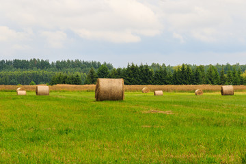 Fototapeta na wymiar Countryside landscape with hay bales on harvested grain field