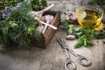 Garden harvest of fresh herbs and spices