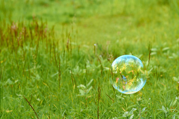 Soap bubbles on a green field fly downwind. The concept of lightness and airiness