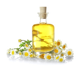 Bottle of essential oil and chamomile flowers on white background