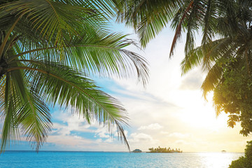 Fototapeta na wymiar Palms and beautiful blue sea at resort